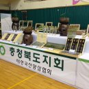 산청산양삼