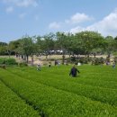 유나목장 이미지