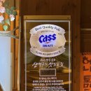 카스타운 이미지