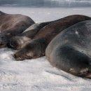 자연과힐링 이미지