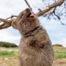 계곡이야기 이미지