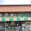 송전지 | [용인] 송전호, 송전지 좌대낚시 이용후기
