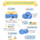 바다성펜션 | [제주 애월 펜션] 바다성 펜션⛱️