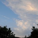 영화마을 이미지