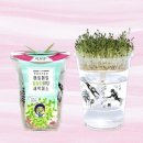 새싹농장 이미지