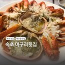 대포항 | 속초 카시아호텔 근처 대포항 머구리횟집 내돈내산 후기