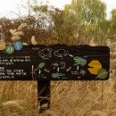 금와습지 생태공원 이미지