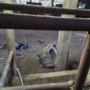 수리한우농장 이미지