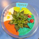 하궁원리 마을회관 | 전주 익산 군산 원예치료 원예심리상담사 자격증과정 테라리움 만드는 방법
