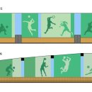 서부체육관 이미지