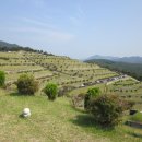 보령시모란공원 관리사무실 이미지