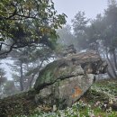 구절암 | 공주 구룡사 구절초 축제