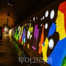 와인동굴 이미지