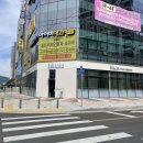 예주약국 | 대전 도안동 미용실 아이디헤어 딥블루 염색 후기