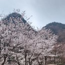 달이머무는집 이미지