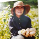 솔길농장 이미지