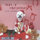 쓰다드멍 이미지