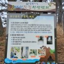 태안 트레킹 솔향기길 1코스 용난굴 인생샷 헛걸음 없이 찍는 방법 위치 전설 포함