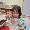 🥬 깍두기장인으로 변신한 햇님둥이 이야기 🌶 이미지