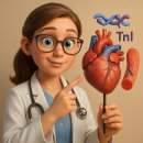 Troponin 이미지