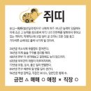 오늘의 운세 --- 2022년 7월 2일(음력 6월 4일) 丙辰 토요일 이미지