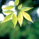 동덕여자대학교 비만미용향장대학원 이미지