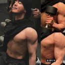 핫바디24