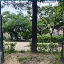 오스트리아음악학원