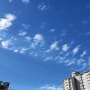 고향장여관 이미지