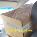 진천제일약국 이미지