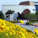 함평군립도서관 이미지