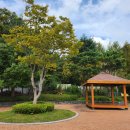 고성공룡나라휴게소주유소 대전방향 이미지