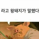 프랭클린스델리 | 연남 숨겨진 샌드위치 맛집 <프랭클린스델리>｜대표메뉴 전부 먹어본 내돈내산 후기, 추천메뉴 (feat...