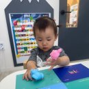 몽당먹미술학원 | 시찌다와 브레인팝을 살짝 곁들인 브레인나우 후기 9개월차!!