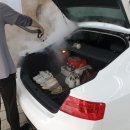 명품실내손세차 이미지