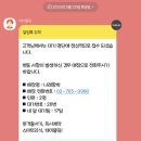 릴리마를렌 티스토리