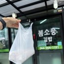 제주소풍김밥 | 제주여행 봄소풍김밥 현지 맛집 톳김밥 내돈내산 후기