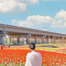 화명생태공원(화명운동장 내) 이미지