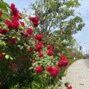 이마트24 마포서교점