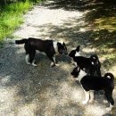 구름소리 이미지