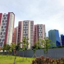 예인 당구 이미지