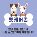 베이펫