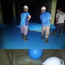 진성닷컴(주) 이미지