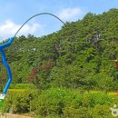 38 이미지