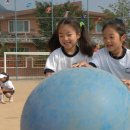 영월초등학교 이미지