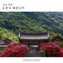 표충사 2 이미지