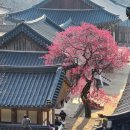 화엄사1로 이미지