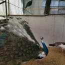 광주조류원 이미지