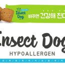 도그픽 이미지