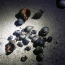 엘림황토민박 이미지